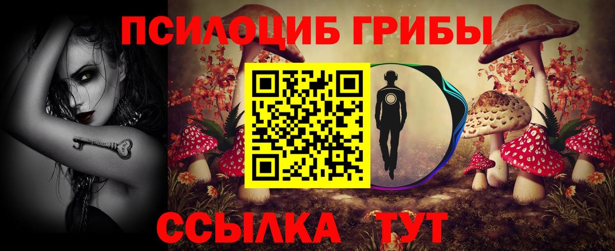 Северобайкальск  закладка  Вход с VPN  Псилоцибиновые грибы MAGIC MUSHROOMS 